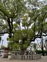 杭全神社(大阪府)