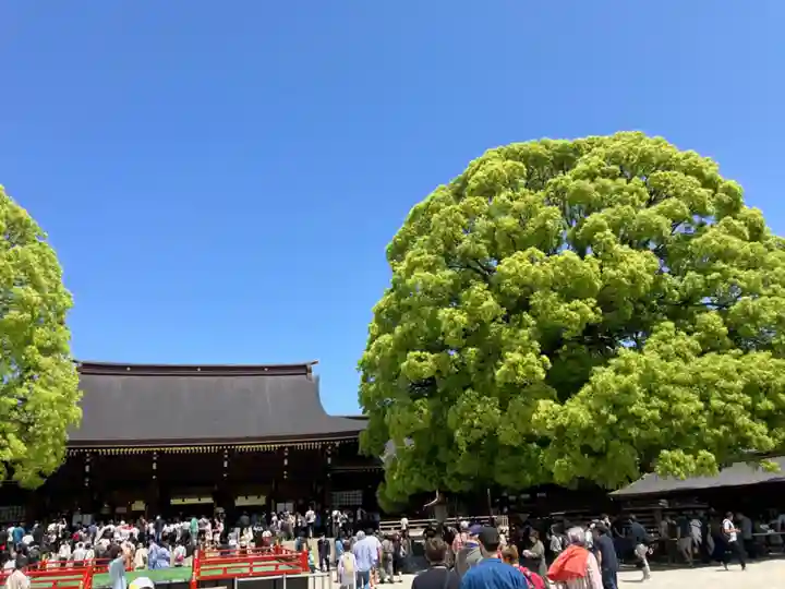 明治神宮(東京都)