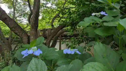 海印寺寂照院(京都府)