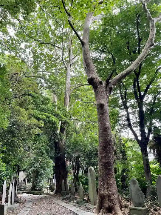 東福寺(神奈川県)
