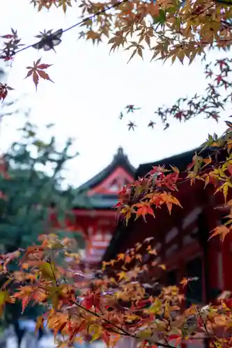 賀茂御祖神社（下鴨神社）(京都府)