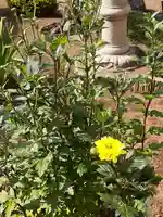 伏木香取神社の自然