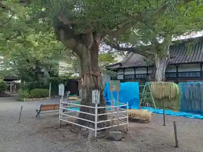 生根神社(大阪府)