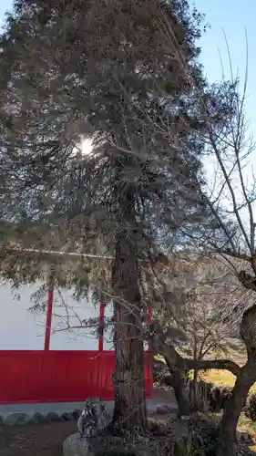 武甲山御嶽神社里宮の自然