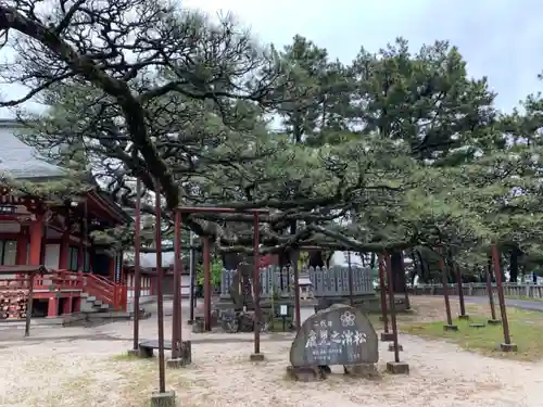 浜宮天神社の庭園