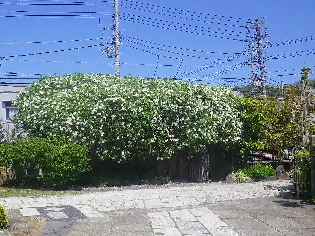 九品寺のその他建物