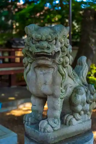 穴太神社の狛犬