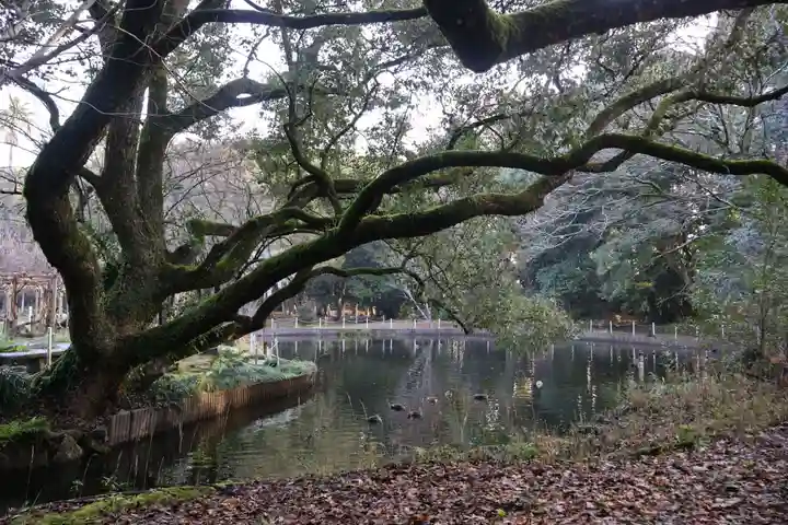 宮崎神宮(宮崎県)