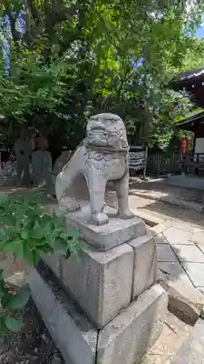 安居神社の狛犬