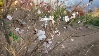 宝登山神社のその他建物