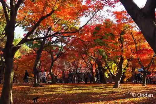 東福禅寺（東福寺）の庭園