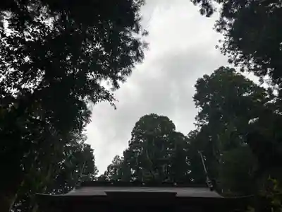 大宮温泉神社(栃木県)