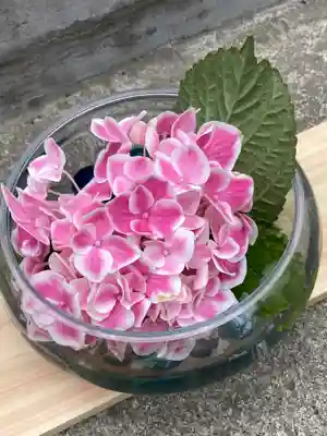 札幌諏訪神社の手水舎