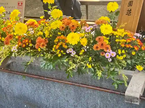 武蔵一宮氷川神社(埼玉県)