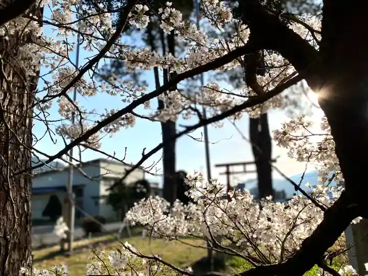 貴船神社の自然