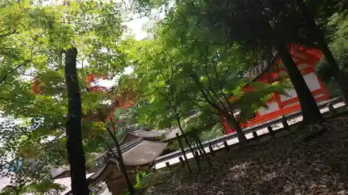 出雲大神宮のその他建物