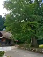 金言寺(島根県)