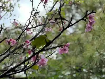 出雲大社沖縄分社の自然
