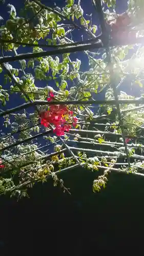 尾張大國霊神社（国府宮）の景色