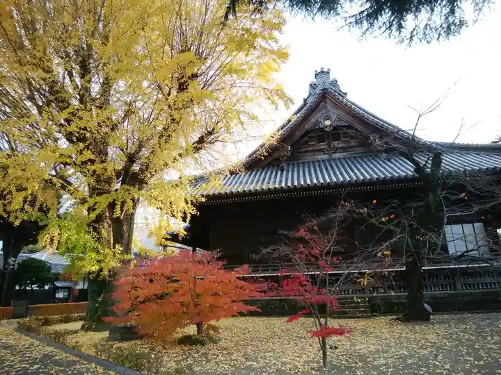 寛永寺(根本中堂)(東京都)