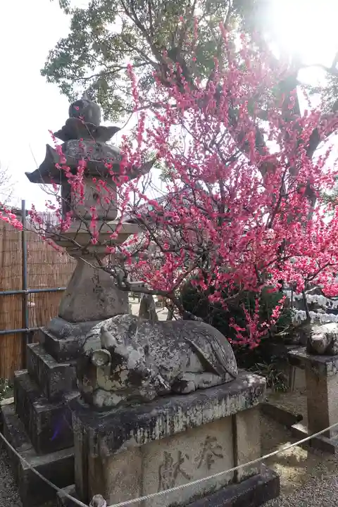 菅原天満宮(菅原神社)の狛犬