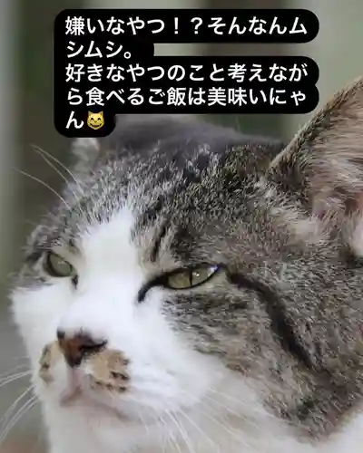 専念寺(大阪府)