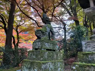 鰐淵寺(島根県)
