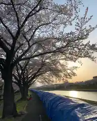 滑川神社 - 仕事と子どもの守り神の周辺