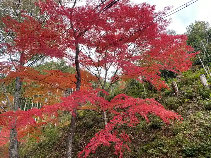 高蔵寺(兵庫県)