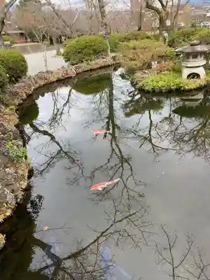 富士山本宮浅間大社(静岡県)