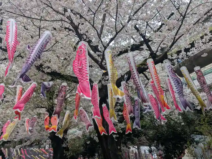 くまくま神社(導きの社 熊野町熊野神社)(東京都)