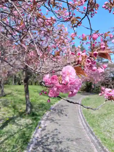 平岸天満宮・太平山三吉神社(北海道)