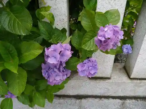 龍口明神社の自然
