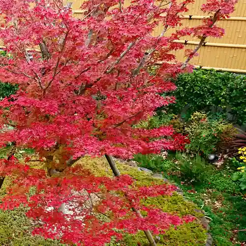 寿量山　速成寺の自然