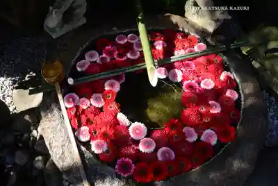 東京羽田 穴守稲荷神社(東京都)