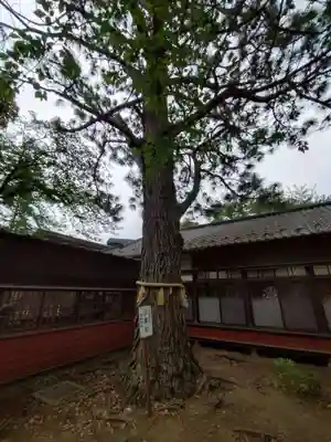 前原御嶽神社(千葉県)