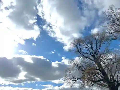 白鳥神社(長野県)
