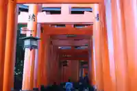 伏見稲荷大社の鳥居