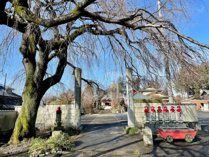 台林寺(栃木県)
