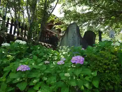 長谷寺(神奈川県)