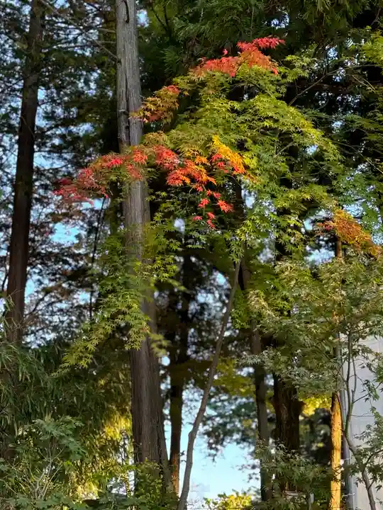 諏訪大社下社秋宮(長野県)