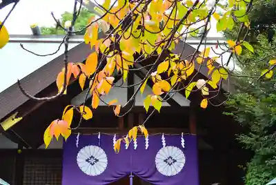 東京大神宮(東京都)