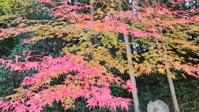 白毫寺(奈良県)