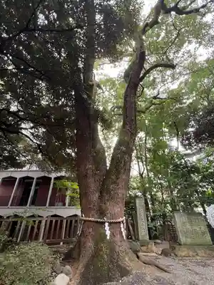 乃木神社(東京都)
