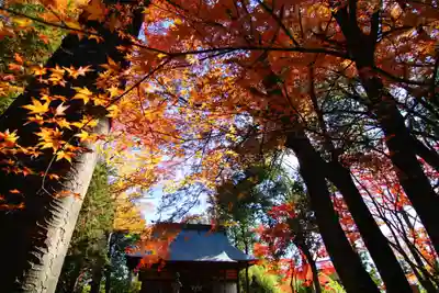 國祖神社の景色