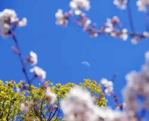 三津厳島神社(愛媛県)