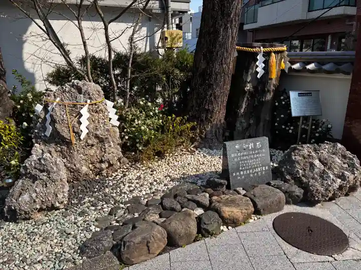 神田神社(神田明神)の自然