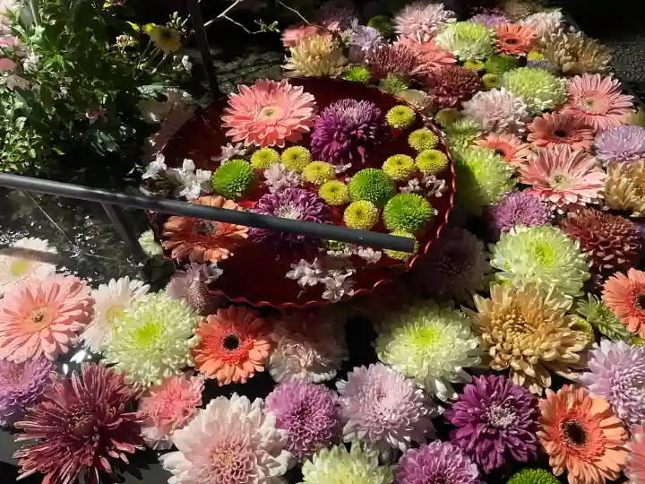 武蔵野坐令和神社の{uncategorized: "未分類", other: "その他", undefined: "問題あり", building: "その他建物", grave: "お墓", sacred_gate: "鳥居", guardian: "狛犬", statue: "像", buddha: "仏像", history: "歴史", nature: "自然", garden: "庭園", animal: "動物", pagoda: "塔", temizu: "手水舎", mountain_gate: "山門・神門", sanctuary: "本殿・本堂", subordinate: "末社・摂社", art: "芸術", scenery: "景色", jizo: "地蔵", ema: "絵馬", goshuin: "御朱印", omikuji: "おみくじ", items: "授与品その他", amulet: "お守り", goshuincho: "御朱印帳", eats: "食事", festival: "お祭り", votive_dance: "神楽", shichigosan: "七五三参", wedding: "結婚式", experience: "体験その他", initially: "初詣", around: "周辺", anti_infection: "感染症対策"}