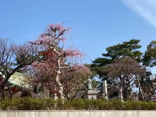 綱敷天満宮の庭園