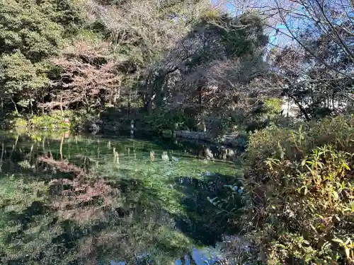 富士山本宮浅間大社(静岡県)